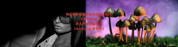 тгк Волосово