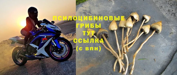дмт Бугульма