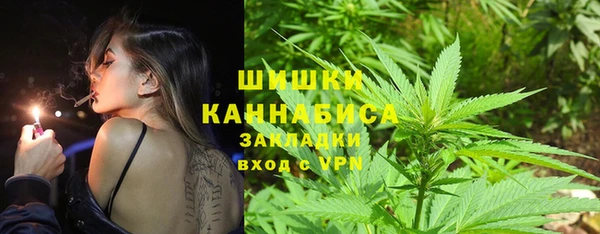 молекула духа Волоколамск