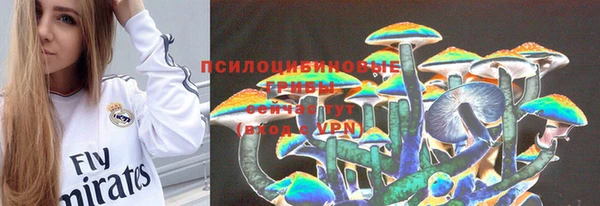 дмт Бугульма