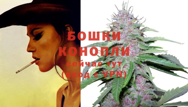 мескалин Бородино