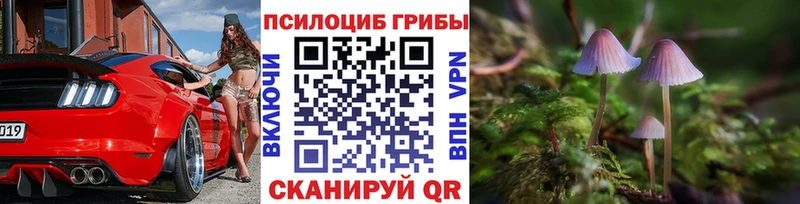 гидра ССЫЛКА  Зерноград  Псилоцибиновые грибы Cubensis 